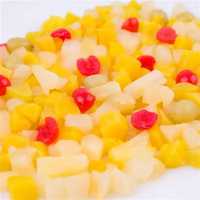 Campuran Buah Kaleng Premium 100% Segar dengan Grapefruit, Stroberi, Persik & Pir - Medley Manis dan Segar Siap Disantap