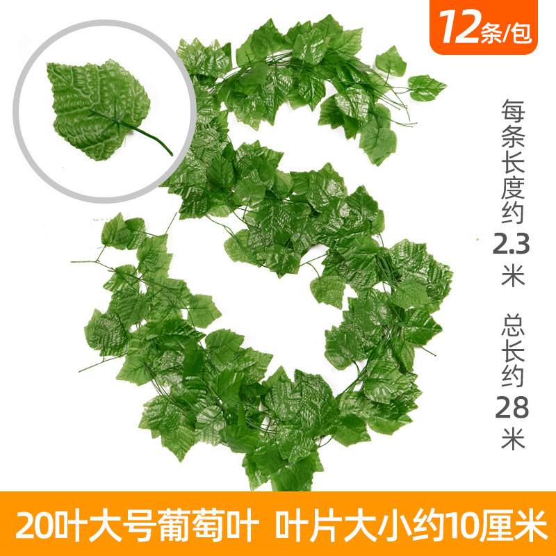 Gros raisins à 20 feuilles (12 raisins)