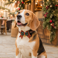 Collier de Noël pour animaux de compagnie avec nœud papillon et clochette, pour chiens et chats, OEM ODM, marque privée, vente en gros, accessoires pour animaux de compagnie