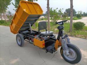 รถสามล้อบรรทุกขนาดเล็กสำหรับทุกสภาพถนน - Product Image 1