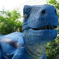 Costume de dinosaure bleu grandeur nature pour la vente en gros, parc à thème de dinosaures, défilé, vie artificielle, dinosaure raptor, pour les terrains de jeux, les jardins