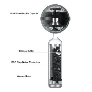 Nhà không dây Micro di động ngoài trời Loa micro Nhà hát karaoke - Product Image 6