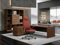 Chaise de bureau exécutive en cuir à dossier haut de gamme, ergonomique, mobilier de bureau de luxe, ensemble bureau et chaise, table de bureau