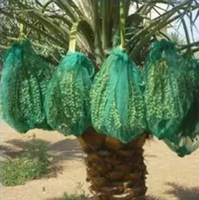 Oignon végétal pomme de terre fruit emballage tubulaire Pp net sac