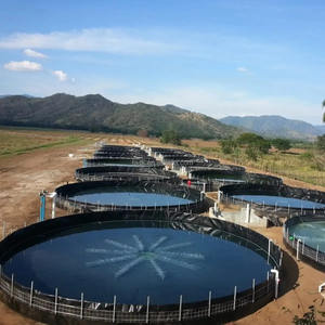 0.5Mm 0.75Mm Hdpe Geomembrane Viskwekerij Vijver Voering Cirkelvormige Viskwekerij Plastic Watertanks Voering Voor Aquacultuurgeomembranas - Product Image 5