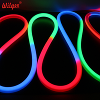 Bande LED RGB personnalisée de 1 m en PVC 24 V, tube néon flexible à 360 degrés, adressable, IP68, RGBIC, contrôleur CCT, interrupteur, pour aménagement paysager