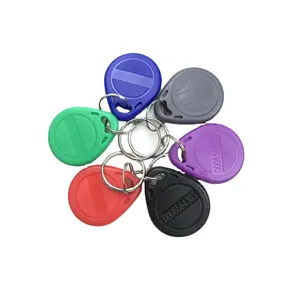 Lage Prijs Blanco Id Ic Rfid Herschrijfbare Key Tag Fob 125Khz Rfid Tag Smart Key Ring Voor Identificatie