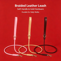 Luxuriöses Modernes Elegantes Leder-Halsband für Hunde & Katzen Raffiniertes Niedliches Einfaches Design mit Nieten-Detail Weich und Komfortabel