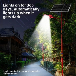 <span class=keywords><strong>Lampioni</strong></span> LED Solari Stile Etnico 6m, Grado di Protezione IP65, Durata 100.000 Ore per Sviluppo Rurale e Piazze Comunali - Product Image 2