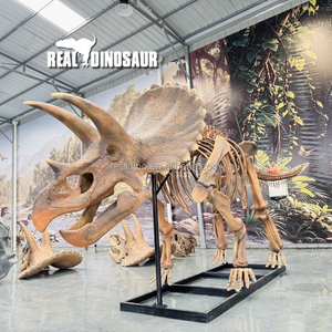 Artisanat fait main, fossiles <span class=keywords><strong>de</strong></span> dinosaures hautement réalistes, <span class=keywords><strong>squelette</strong></span> <span class=keywords><strong>de</strong></span> <span class=keywords><strong>dinosaure</strong></span> pour musée - Product Image 1