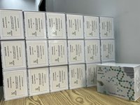 Kit ELISA EOMES haute sensibilité pour la détection des facteurs de transcription T-box, services chimiques personnalisés - Humain