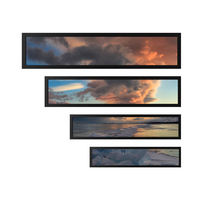 Zhsunyco - Pantalla LCD Ultra Ancha de 23.6 Pulgadas para Señalización Digital, Resolución 1920x540, para Tiendas/Supermercados en Interiores