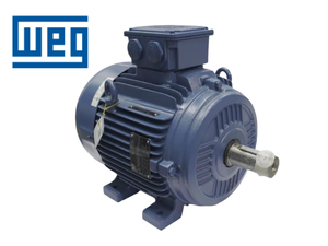 มอเตอร์ WEG ของแท้ใหม่เอี่ยม รุ่น W21/W22/W50 ประหยัดพลังงาน 55KW มอเตอร์ไฟฟ้ากระแสสลับสามเฟส ป้องกันน้ำได้ 24V - Product Image 4