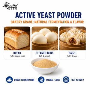 <span class=keywords><strong>Levadura</strong></span> Activa en Polvo Confiable, Materia Prima de Fermentación Tradicional para Todo Tipo de Productos de Harina Fermentada - Product Image 5