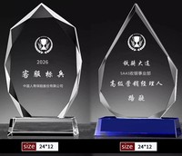 Trophée personnalisé en métal et cristal, Cérémonie annuelle de remise des prix, Médaille de concours, Commande en petite série de plaques de récompense en résine