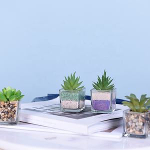 Mini <span class=keywords><strong>piante</strong></span> <span class=keywords><strong>grasse</strong></span> artificiali <span class=keywords><strong>Haworthia</strong></span> in vaso di vetro piccole <span class=keywords><strong>piante</strong></span> in vaso piccola pianta con vaso - Product Image 2