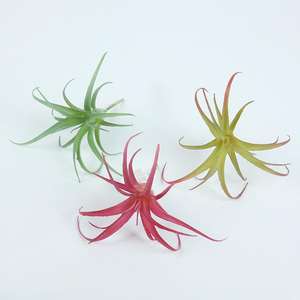 Plante succulente artificielle haut de gamme en plastique écologique pour décoration de Noël, de jardin et de maison, mur floral, décoration de maison chinoise - Product Image 4