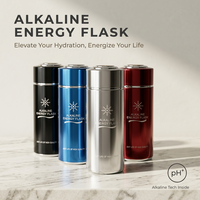 Bouteille d'eau alcaline filtrée 450 ml en acier inoxydable de haute qualité avec ioniseur japonais et filtre à hydrogène pH – Vente en gros