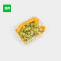 Boîte d'emballage de fruits en plastique PET rectangulaire personnalisée Raisins jetables Conteneur à clapet Vernissage Carré Blister Alimentaire