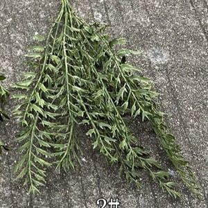 Décor de mariage forêt enchantée verdure fausses <span class=keywords><strong>plantes</strong></span> de plafond suspendues <span class=keywords><strong>plantes</strong></span> suspendues artificielles - Product Image 6