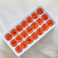 Rose éternelle, fleur préservée, pour un cadeau