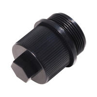 Bouchon de vidange du filtre Pentair 190030 | Compatible avec les pièces Pentair FNS Plus, les pièces Clean and Clear Plus et les filtres Quad DE