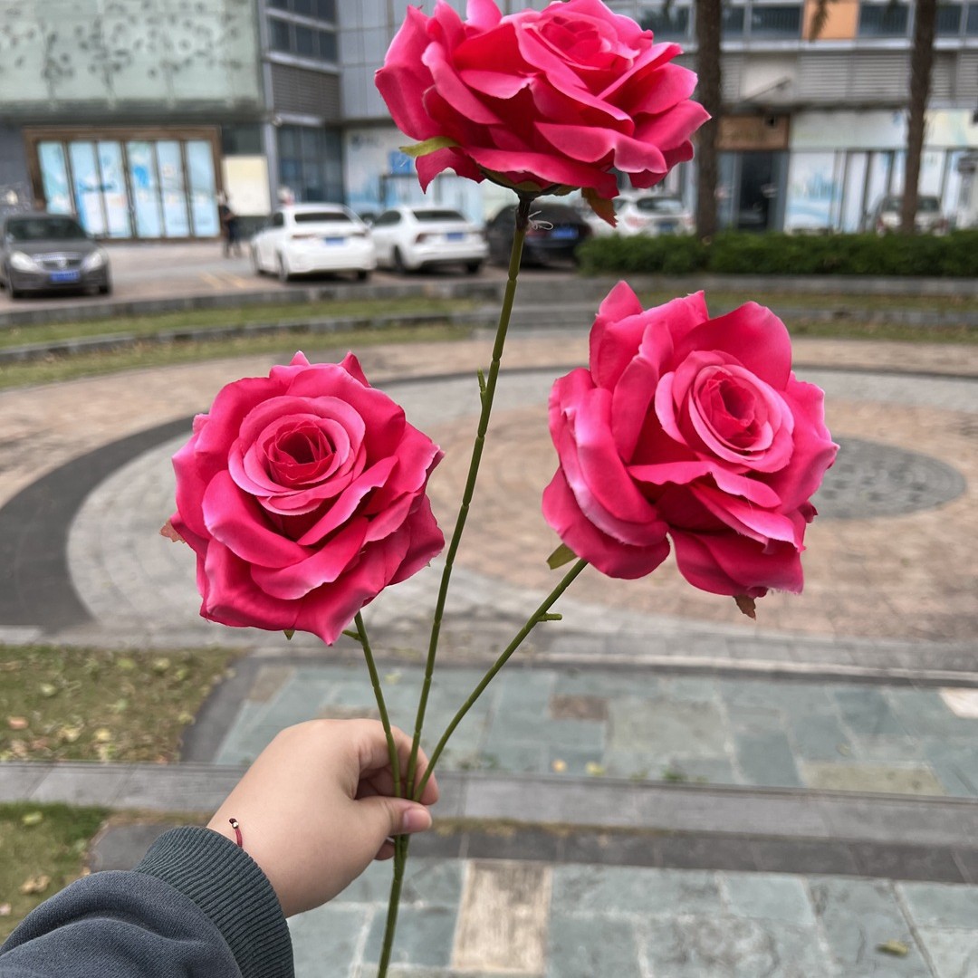 3 corne de laffey rose rouge