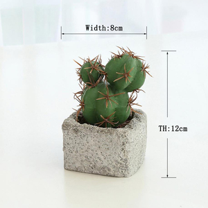 หม้อทรงกระบองเพชรผ้าไหมเทียม,การส่งออกสำหรับ Euphorbia Macetas - Product Image 6