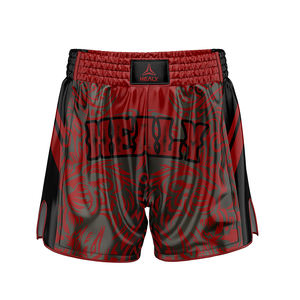 Pantalones cortos de entrenamiento de diseño elegante hechos a medida HEALY pantalones cortos de lucha de boxeo atléticos con estampado artístico para hombres - Product Image 1