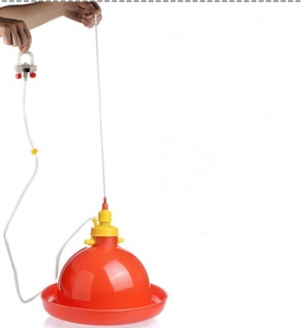 Bebedero automático de plástico <span class=keywords><strong>para</strong></span> aves, bebedero <span class=keywords><strong>para</strong></span> pollo con campana, venta al por mayor de fábrica - Product Image 2