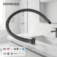 Tuyau moderne PPW haute pression 1,0 MPa noir en PET tressé avec tube intérieur EPDM DN8 40 cm, avec joint en laiton raffiné pour plomberie de douche