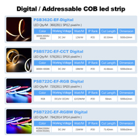 Tira de COB RGB24V Dinámica Programable, Escenas de Color Mágico, Efectos Suaves, Control Remoto, USB/Wi-Fi de Cobre para Clubes y Espacios Temáticos