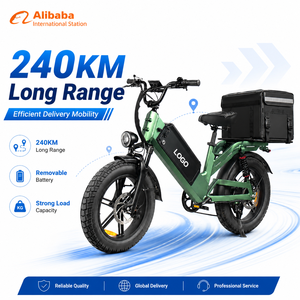 Bicicleta Eléctrica D55 E-MTB de 750W 48V55Ah con Llantas Gruesas de 20 Pulgadas, 7 Velocidades, Cuadro de Aluminio, Largo Alcance, Personalizada para Mensajería - Product Image 1