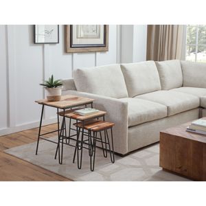 Tables gigognes en bois de sheesham naturel DB avec dessus bicolore et base en fer variant la beauté Ample rangement pour meubles de salon - Product Image 1