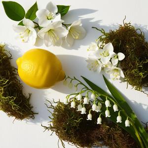 Divain 903 Profumo Unisex Intensità Moderata Fragranza Floreale Primaverile al Profumo d'Arancia - Product Image 2