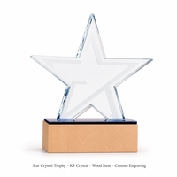 Trophée étoile en cristal K9 personnalisé avec étoile intérieure givrée, base en bois massif, certificat de formation gravé, cadeau de récompense, vente en gros