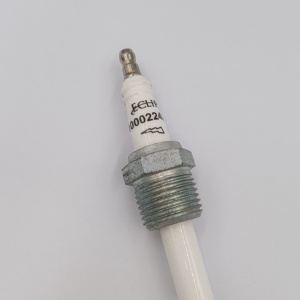 Électrode de détection d'allumage 20/5000 pour les États-Unis, sonde de détection, prise d'électrode 10002242-1, détecteur pour Stock200 - Product Image 3