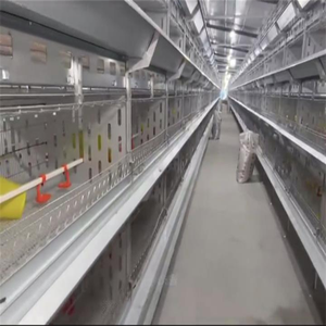 3 Tier H Type Fully Automatic Iron Chicken Broiler Cage System New Condition Poultry <strong>Farming</strong> <strong>Quail</strong> Bird Animal Cages QM YC-65 - Product Image 2