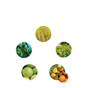 Matière première cosmétique coréenne récoltée dans la nature, ampoule réparatrice (usine OEM/ODM) - Product Image 1