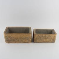 Jardinière ovale en ciment doré abordable, imperméable, pour intérieur, avec support, pour plantes, bonsaïs et succulentes