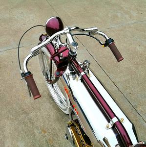 Bicicletta a <span class=keywords><strong>Motore</strong></span> a Benzina Gas Bike (TF-GE 025) - Product Image 6