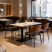 Chaises de style haut de gamme pour restaurants, hôtels, clubs d'affaires, design nordique rembourré