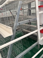 Nouvelle cage automatique pour poules pondeuses, système intelligent d'alimentation et d'abreuvement, anti-corrosion, gain de place, 96-160 poules, OEM ODM personnalisable