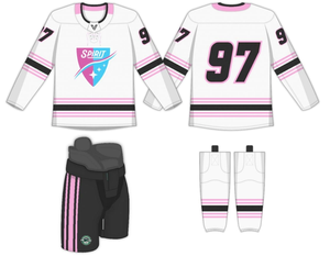 Groothandel Hoge Kwaliteit Op Maat Gesublimeerde Team IJshockey Shirts Hockey Uniformen - Product Image 6