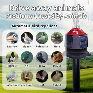 Ngoài trời năng lượng mặt trời-Powered Bird <span class=keywords><strong>Repeller</strong></span> với đèn <span class=keywords><strong>LED</strong></span> và một động vật tự động Repellent hệ thống - Product Image 3