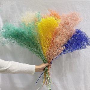 2026 nuovi arrivano fiori di alta qualità milioni di stelle per la decorazione di nozze a casa conservati milioni di stelle per la <span class=keywords><strong>Flora</strong></span> - Product Image 4
