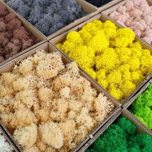 Panneau mural personnalisé en mousse de renne blanche, mousse naturelle stabilisée et préservée, pour la maison, mariage, fête des mères, Saint-Valentin, Pâques - Product Image 4