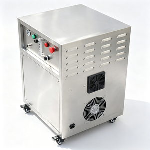 Sistema Generador de Oxígeno PSA de 10L, Máquina de Oxígeno de Alta Presión para Acuicultura, Gestión de la Calidad del Agua en Piscifactorías - Product Image 5