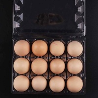 Plateau à œufs de poulet 12 alvéoles jetable réutilisable coloré transparent clair pas cher pour petits œufs en 3x4