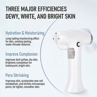 Appareil de mésothérapie à jet d'eau et d'oxygène haute pression pour l'hydratation et le rajeunissement du visage, vaporisateur nano portatif, injecteur facial